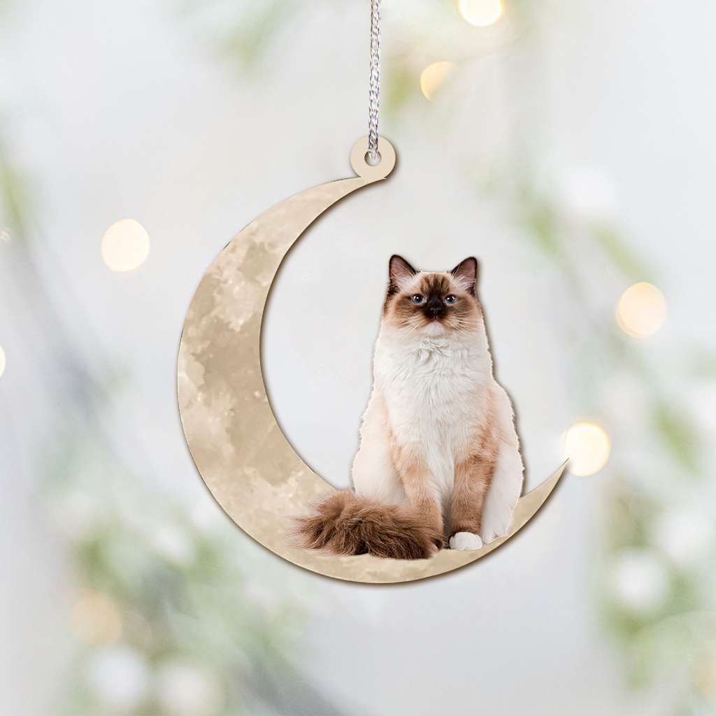 Ragdoll Cat Sits On The Moon - Cat Ornament (Printed On Both Sides) 1022