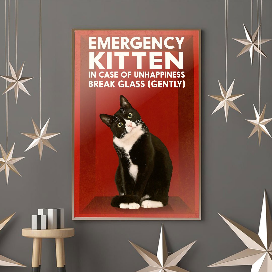 In Case Of Emergency - Cat Poster