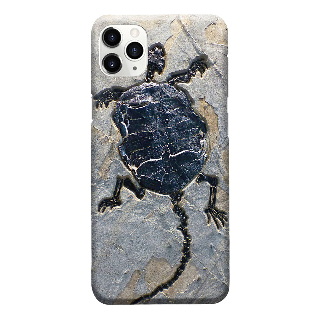 Cryptodiran Fossil Turtle Phone Case