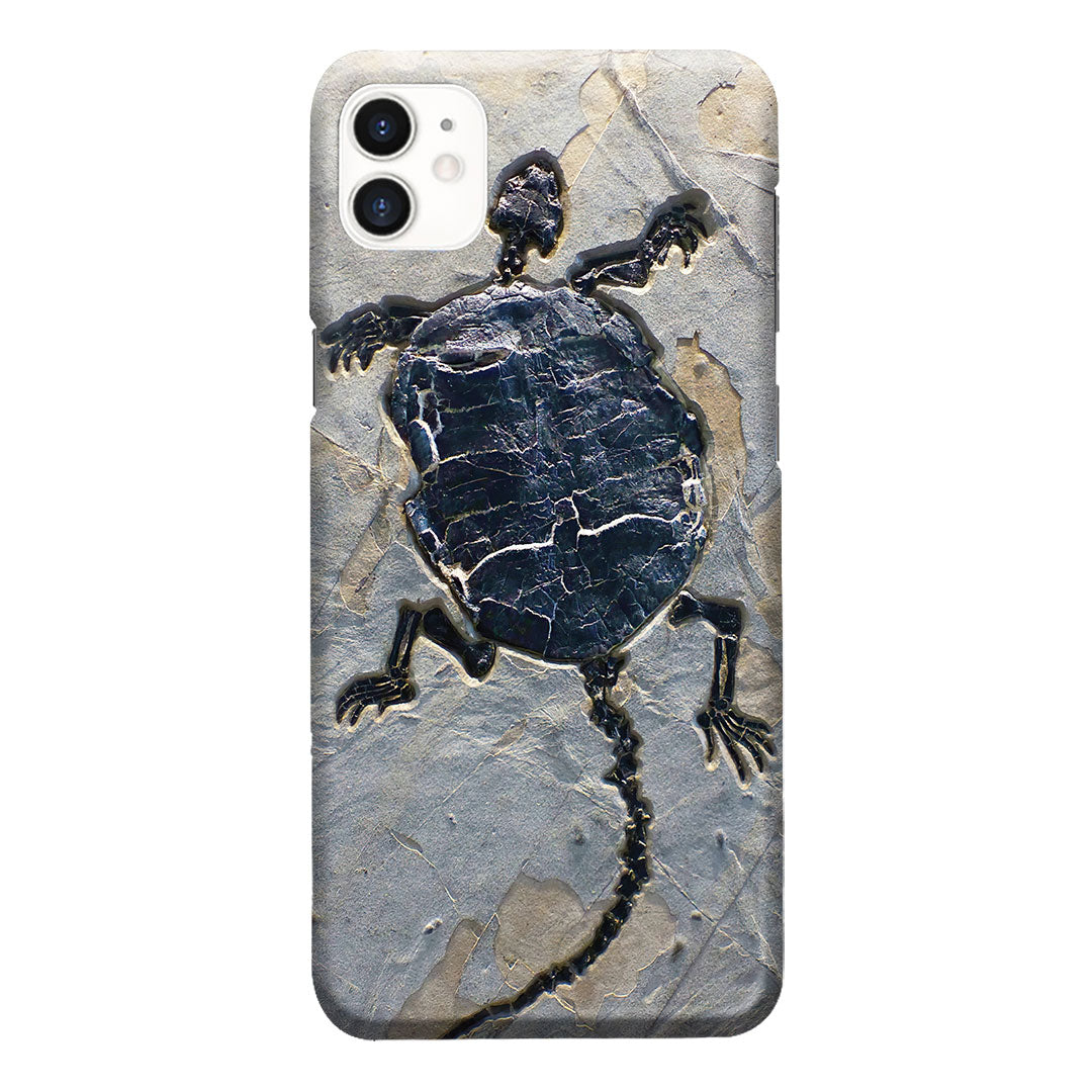 Cryptodiran Fossil Turtle Phone Case