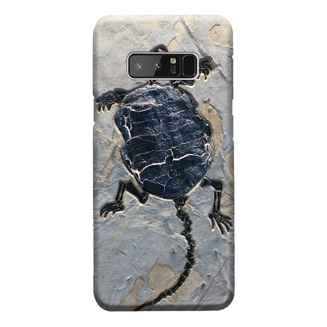 Cryptodiran Fossil Turtle Phone Case