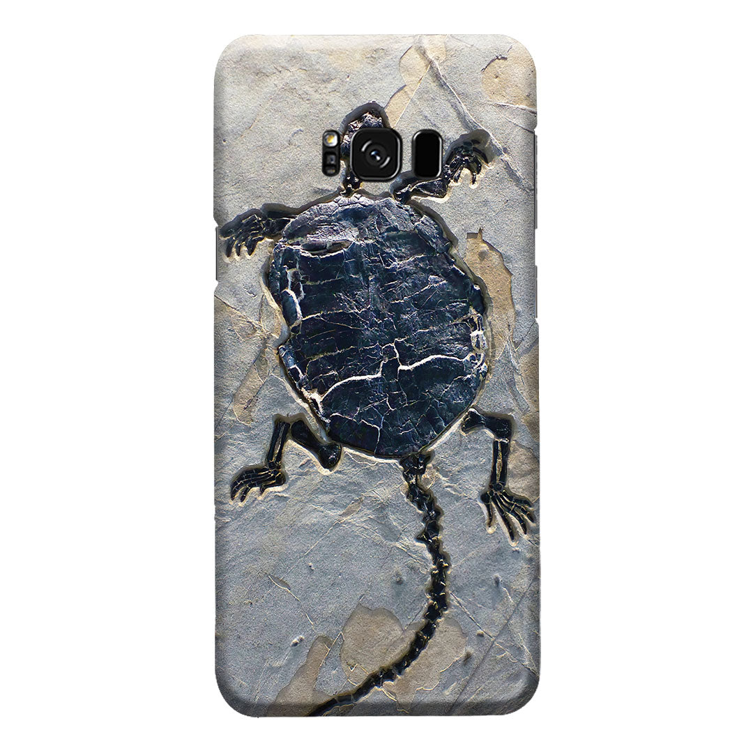 Cryptodiran Fossil Turtle Phone Case