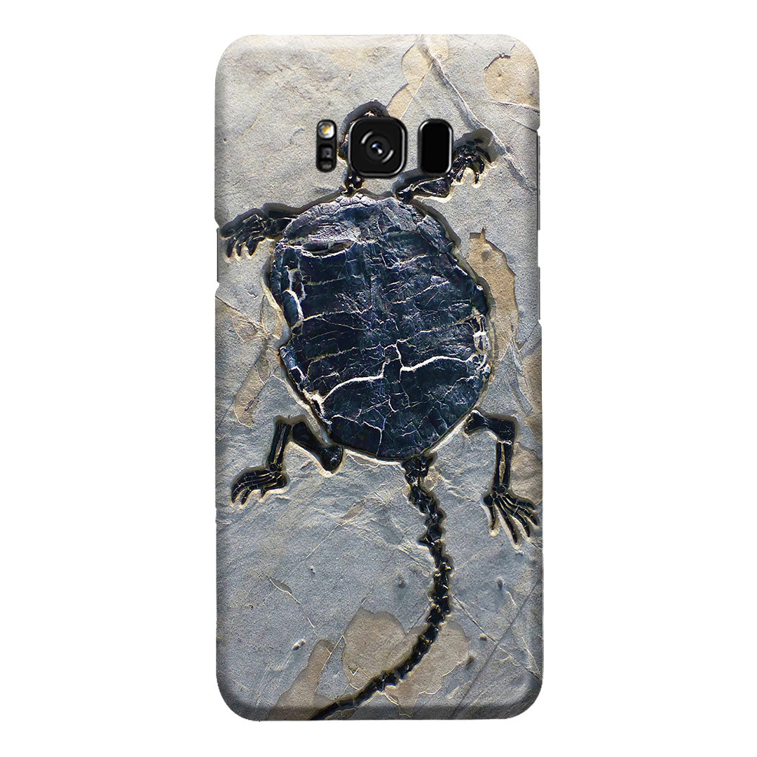 Cryptodiran Fossil Turtle Phone Case