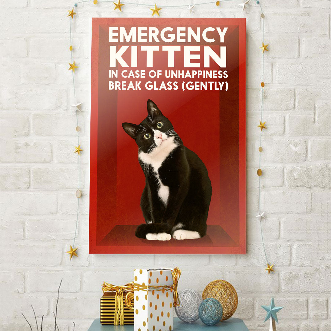 In Case Of Emergency - Cat Poster