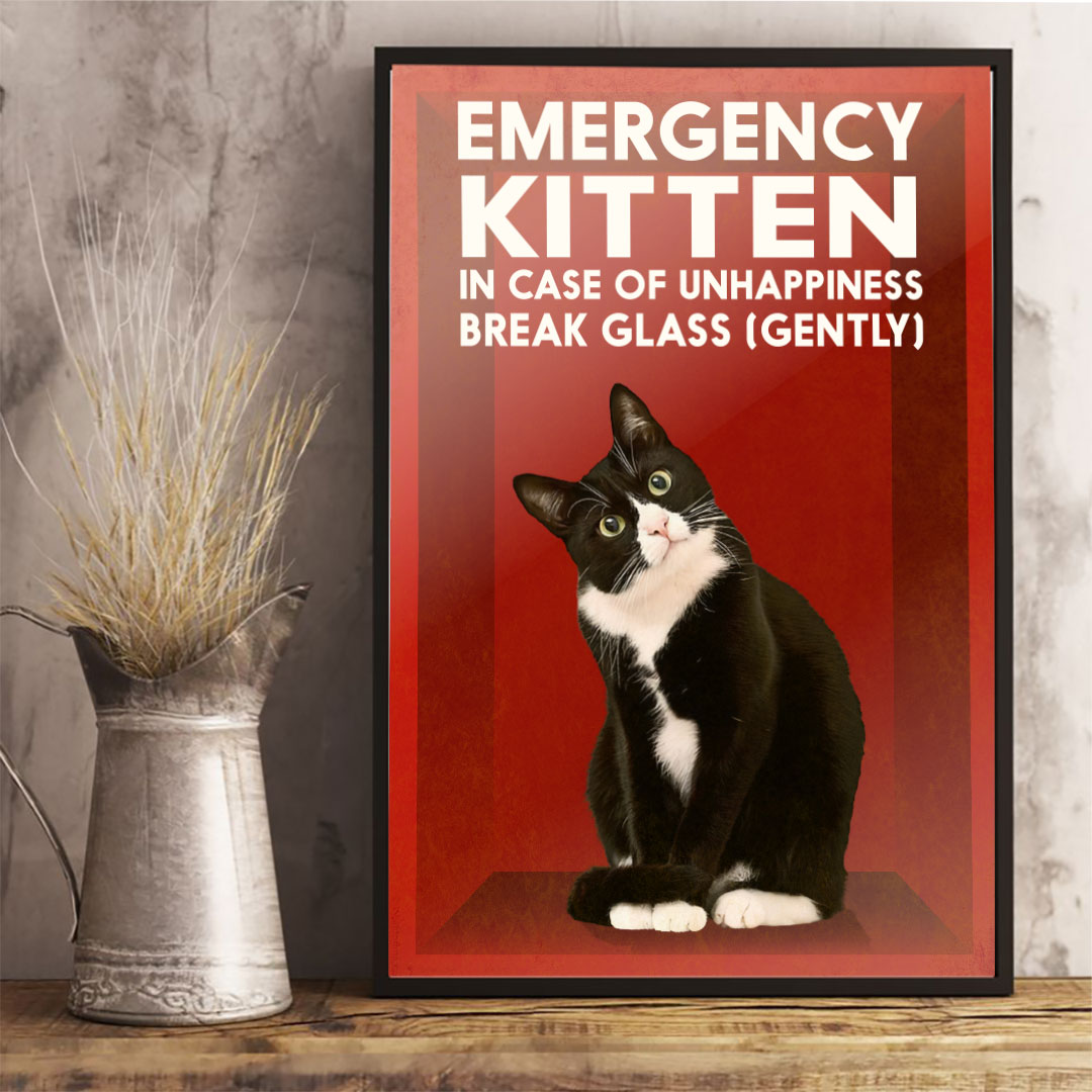 In Case Of Emergency - Cat Poster