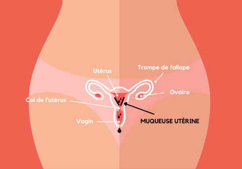 Règles douloureuses, les causes : Pourquoi ai-je des douleurs de