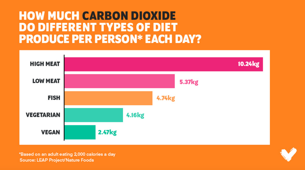 carbon dioxide