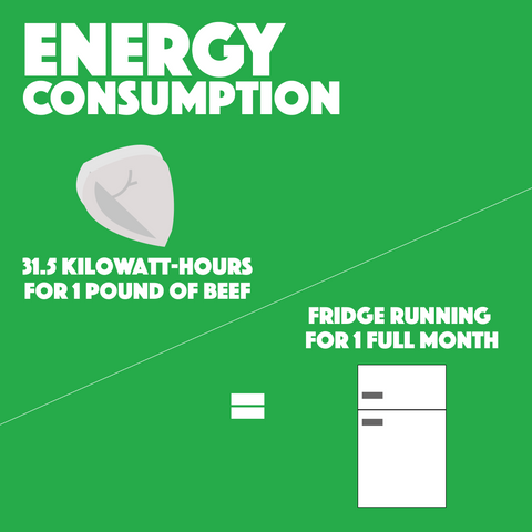 energy consumption and fossil fuel
