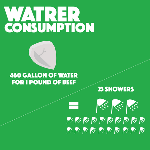 water usage in meat production