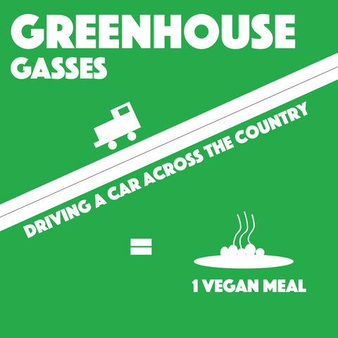 greenhouse gasses