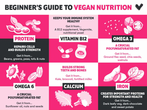 Vegan Nutrition Info