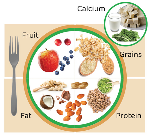 vegan nutrition plate