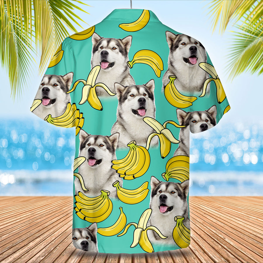 Personalized Hawaiian Shirt With Your Pet's Photo D09 - Animals Kind