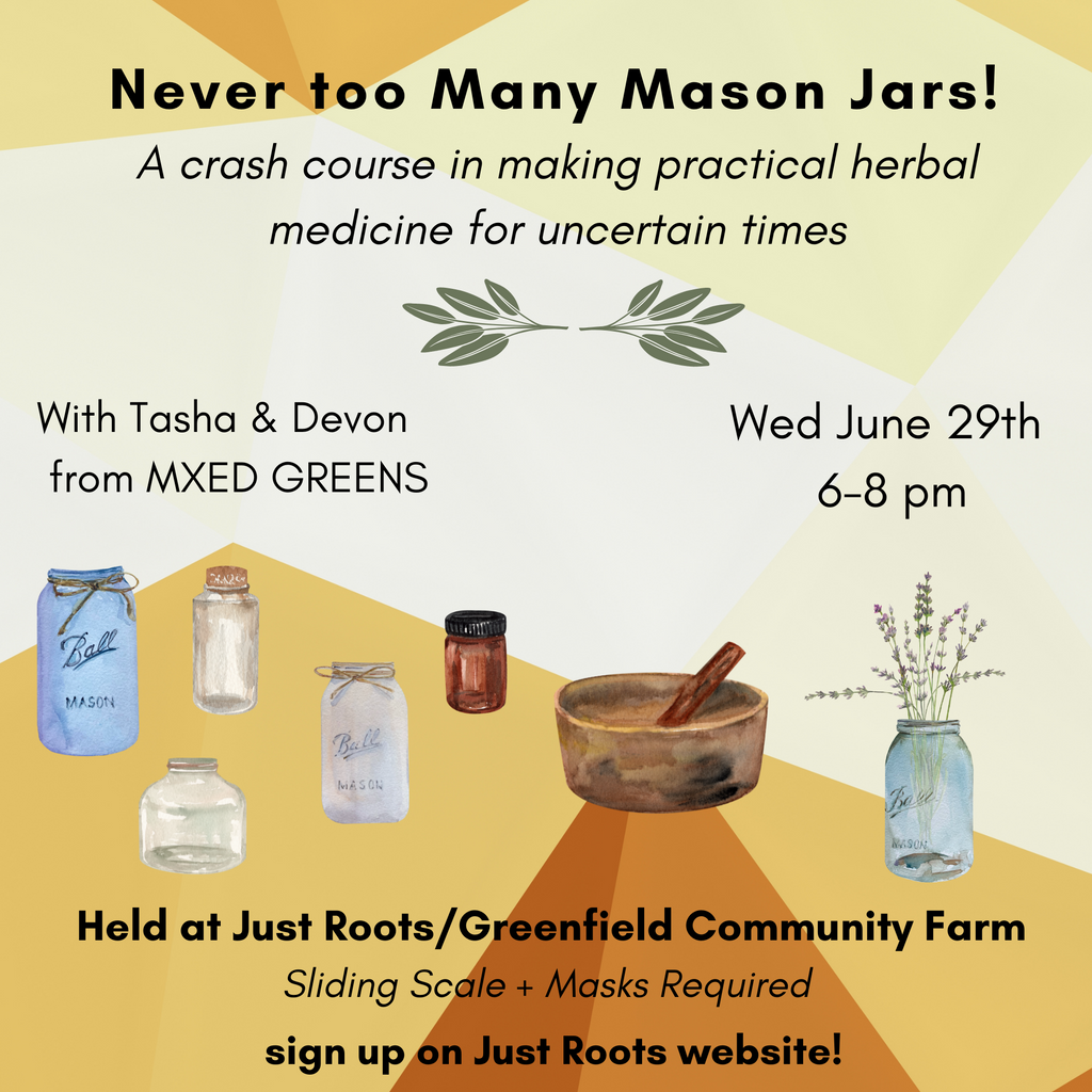 Never too many Mason Jars! A crash course in making practical herbal medicine for uncertain times with Devon & Tasha of MXED GREENS Wed June 20th 6-8pm Held at Just Roots / Greenfield Community Farm, Sliding Scale & Masks required - sign up on Just Roots website!