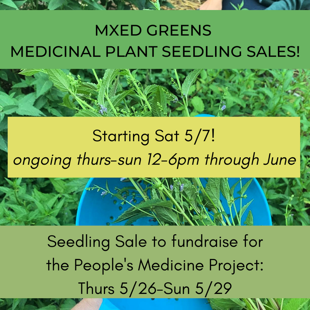 MXED GREENS Medicinal Plant Starts sale poster