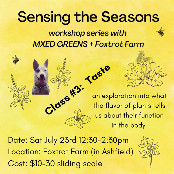 Sensing the Seasons workshop with MXED GREENS and Foxtrot Farm Class #3 Taste Date: Sat July 23rd 12:30-2:30pm Location: Foxtrot Farm (in Ashfield) Cost: $10-30 sliding scale