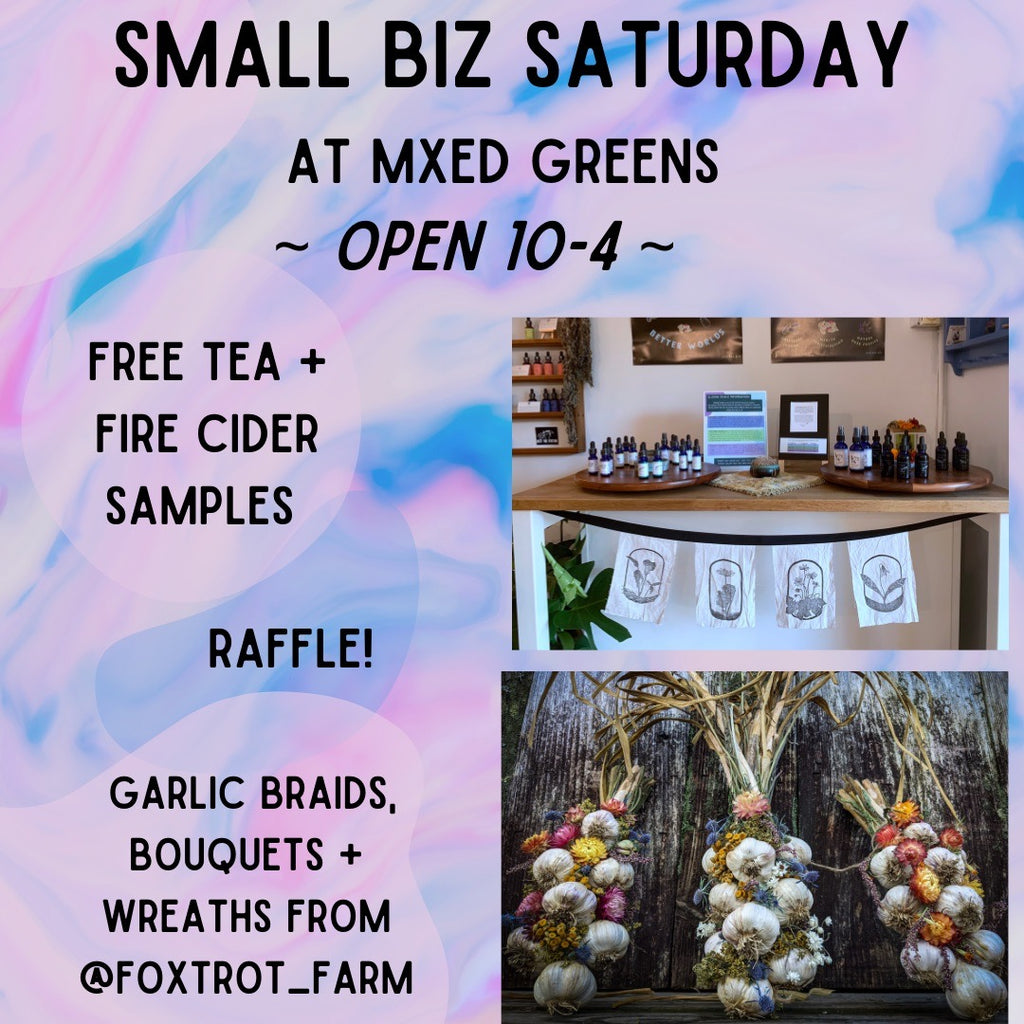 Small Biz Saturday 11/27 10-4