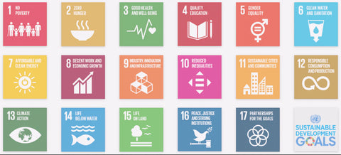 SDGs 發展目標