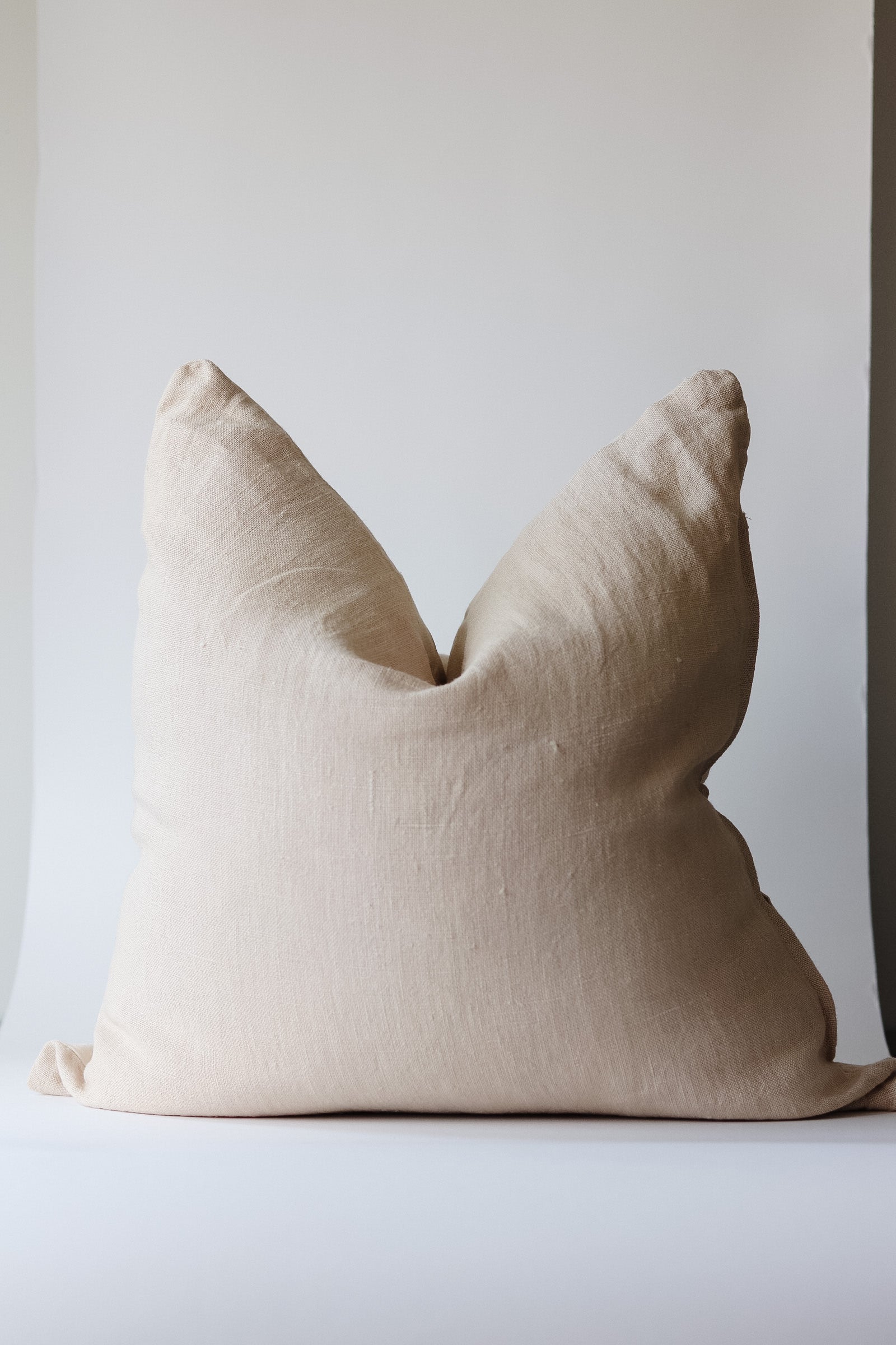 https://cdn.shopify.com/s/files/1/0560/7676/3206/products/eclectivecollectivepillow8_1600x.jpg?v=1646869684