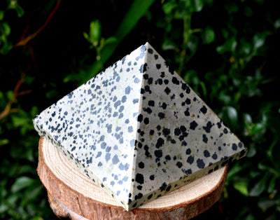 Dalmatian Jasper Crystal Pyramid ~ 2 inches Dalmatian Jasper Pyramid