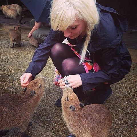 capybara babies