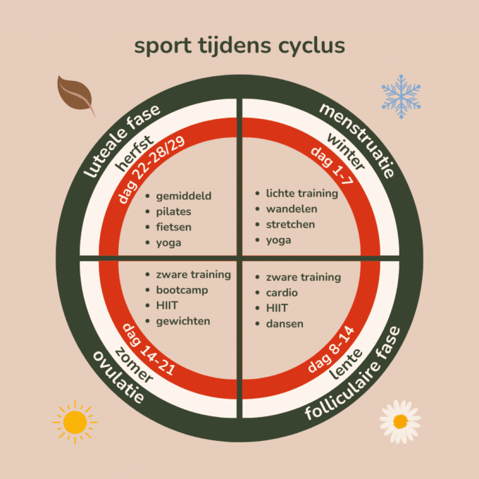 your cycle also has 4 seasons