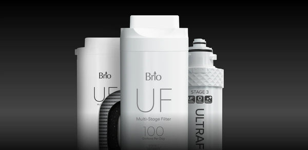 Brio replacement filters
