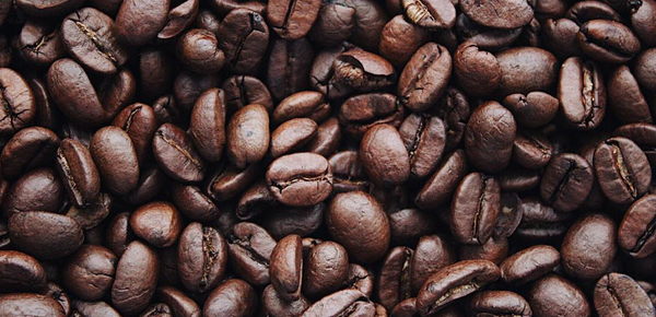 A close up of fresh coffee beans