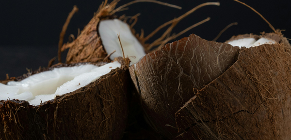 A close up of a coconut shell