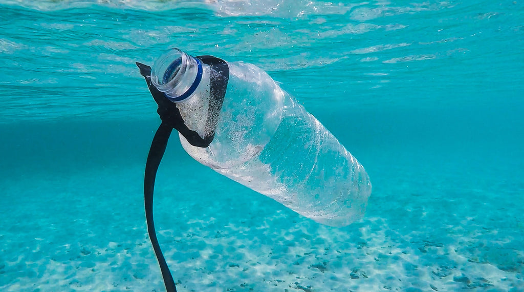 plastic water bottle floating in the sea