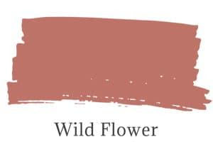 Wild Flower