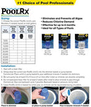 Pool RX 102001 6 Month Swimming Pool Algaecide Replacement, 8 oz, Blue - DuoClear Cartridge