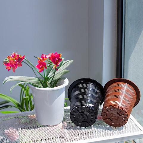 Pots de fleurs Extérieur et Intérieur Birodégradable Grand