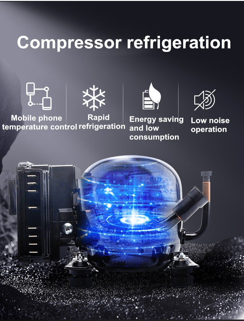 Mini Car Refrigerator 12V/24V DC 110-240V AC Portable Cooler 30L 50L Freezer