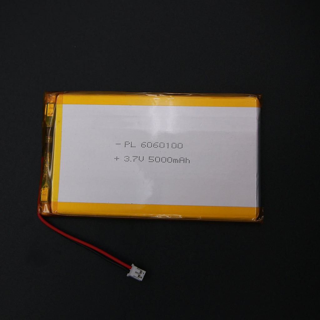 5000mAh lithium ion battery