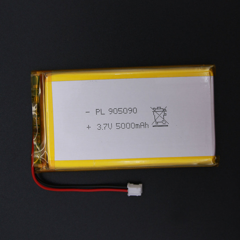 5000mAh lithium polymer battery