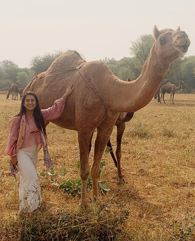 CAMEL CONSERVATION PROJECT