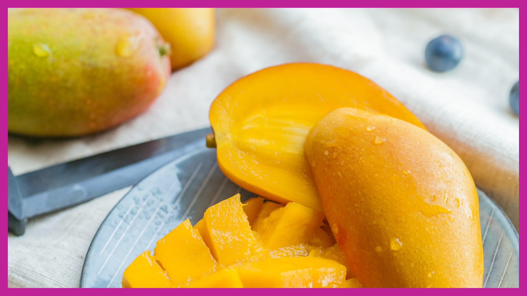 are mangoes safe for pet dogs or cats