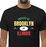 Property of Brooklyn Pan African Unisex T-Shirt