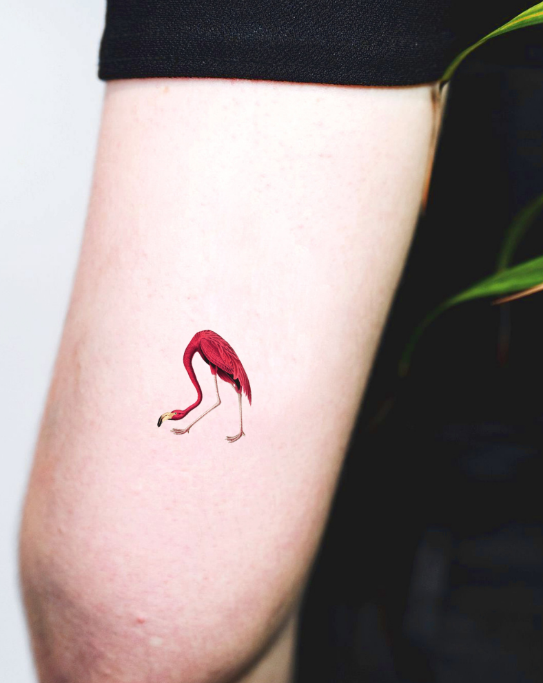 flamingo tattoo blackTikTok Search