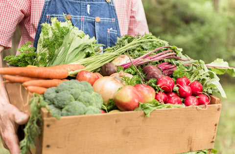 Organic food Stores