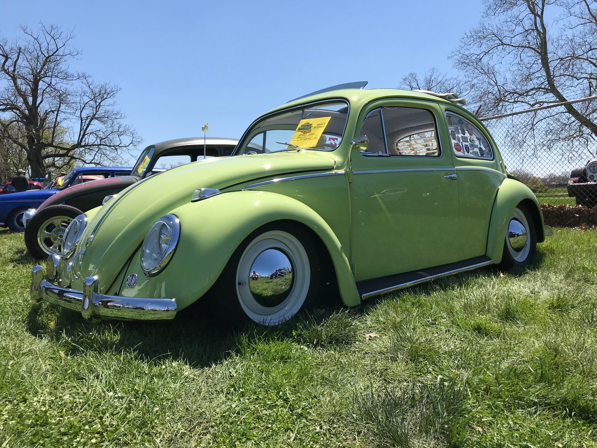 Clean Lowered Green Early Bug At Drew's Bug Swap 2018