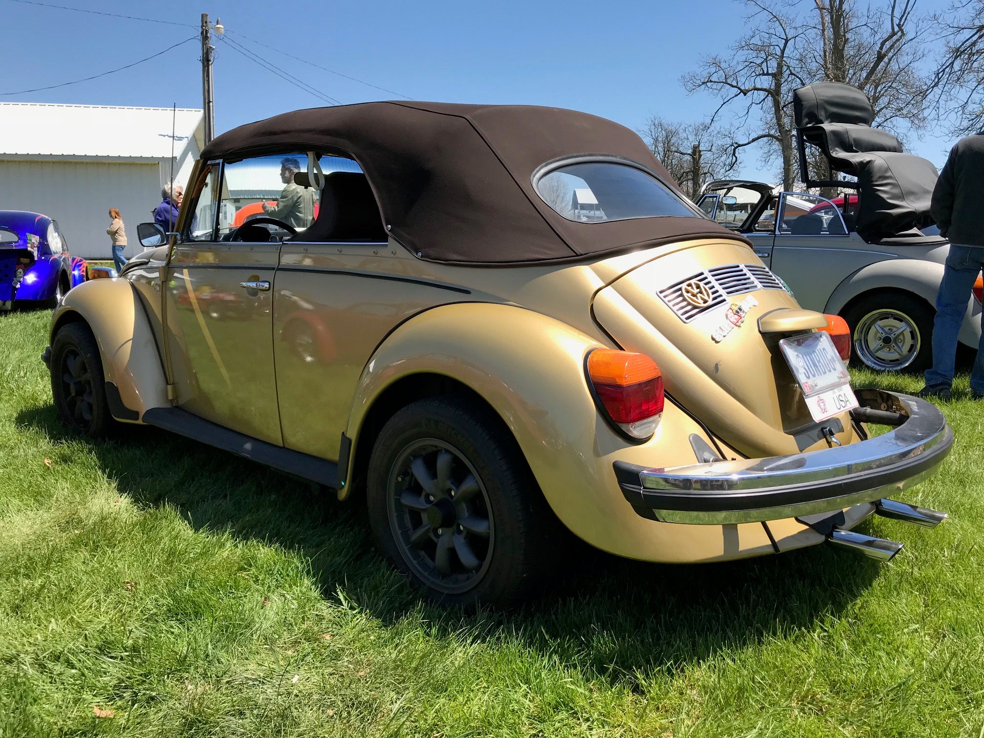 Clean Gold Sun Bug At Drew's Bug Swap 2018