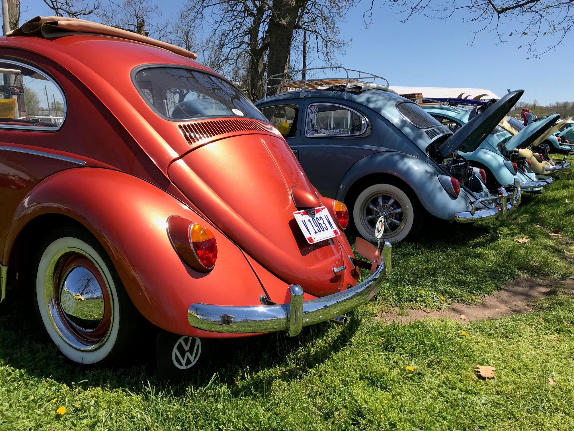 VW Beetles Lined Up At Drew's Bug Swap 2018