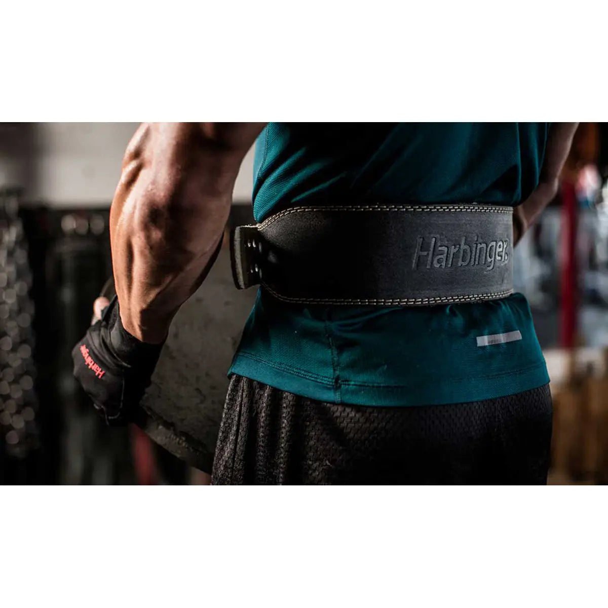 Harbinger 6 Padded Leather Weight Lifting Belt – Forza Sports