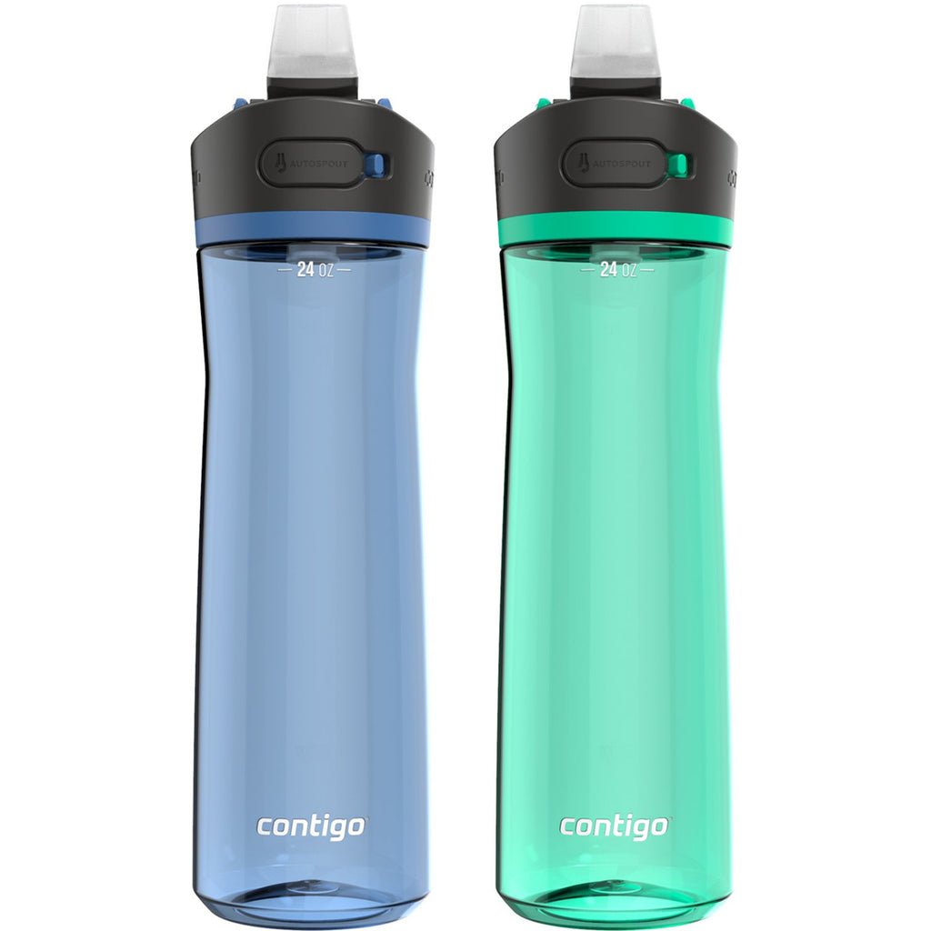 Contigo ASHLAND CHILL 2.0 Stainless Steel Water Bottle with AUTOSPOUT® Lid,  Stainless Steel with Juniper, 24 oz