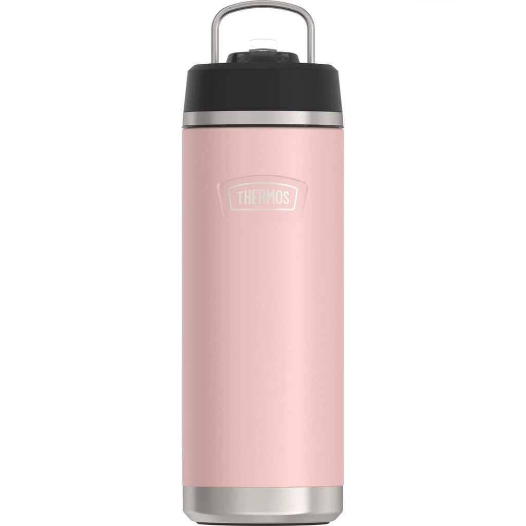 Thermos Vacuum Insulated Stainless Steel Mug - Slate, 18 oz