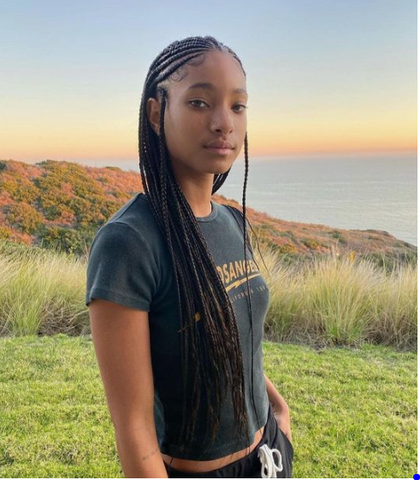 willow-smith-fulani-braids-image-in-nature-blog-post-protective-hairstyle-ideas