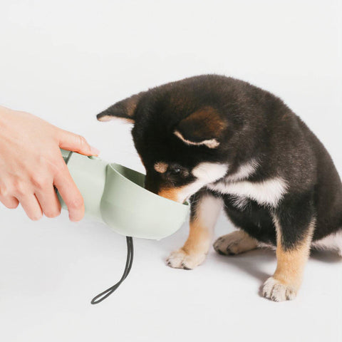 gifts-under-$49-portable-drinking-bottle-for-pets