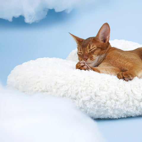 gifts-under-$79-moln-cloud-shaped-pet-bed